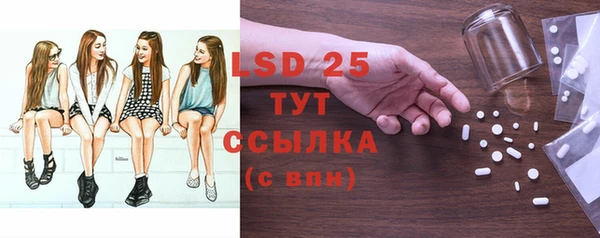 ПСИЛОЦИБИНОВЫЕ ГРИБЫ Арсеньев