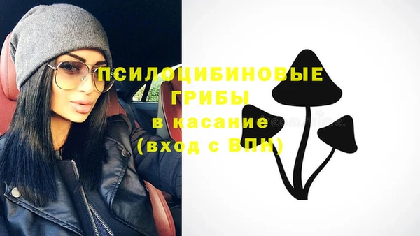 ПСИЛОЦИБИНОВЫЕ ГРИБЫ Арсеньев