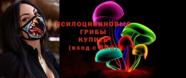 соль ск Балахна