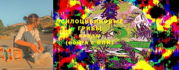 прущий лед Аркадак