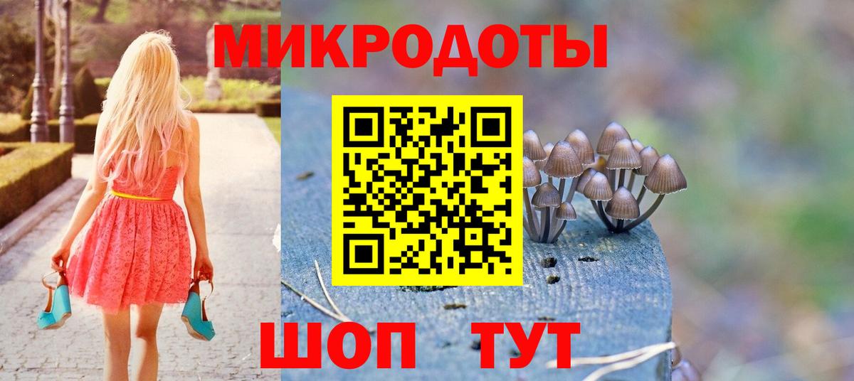 Галлюциногенные грибы Cubensis Коломна